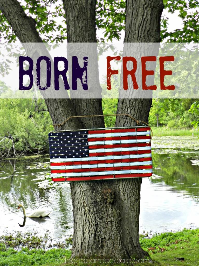 Born Free 2