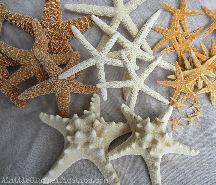 DIY Seashell Serving Tray at ALittleClaireification.com #crafts #seashells #starfish @ALittleClaire