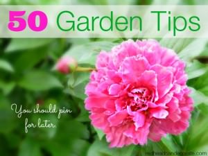 50 Garden Tips You Should Pin For Later