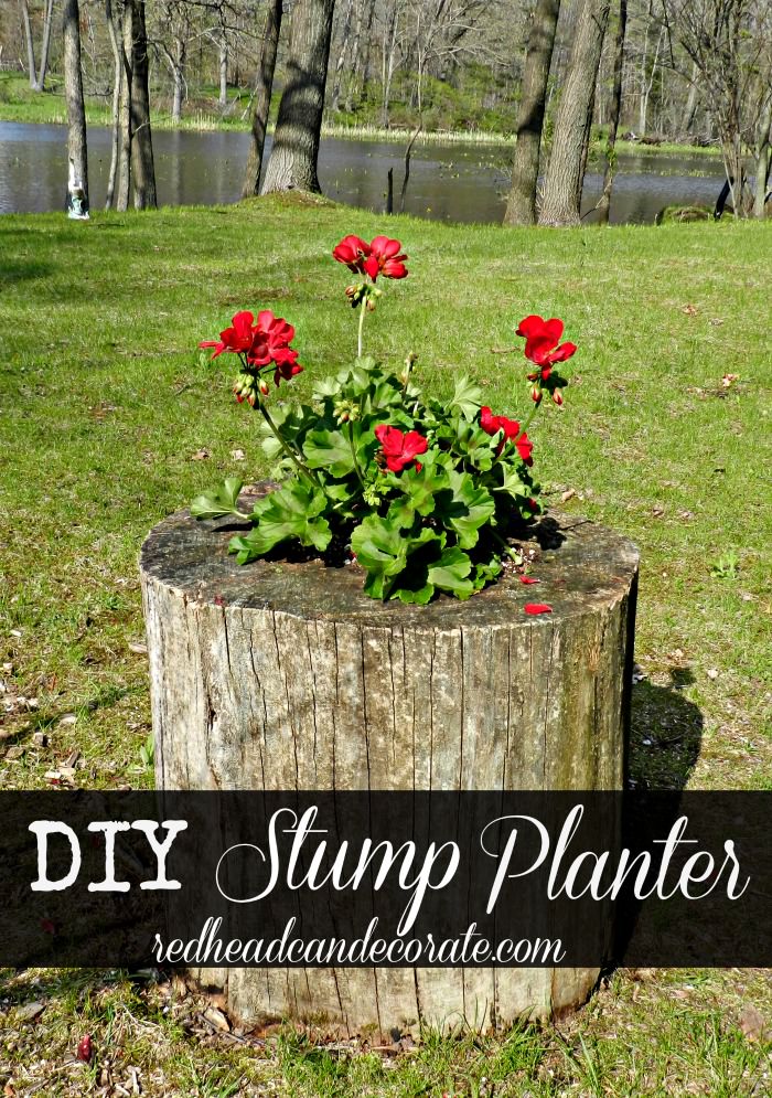 DIY Stump Planter