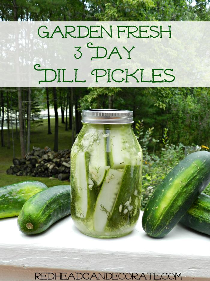 Garden Fresh Easy Dill Pickle Recipe
