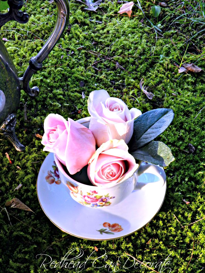 Tea Cup Rose Display