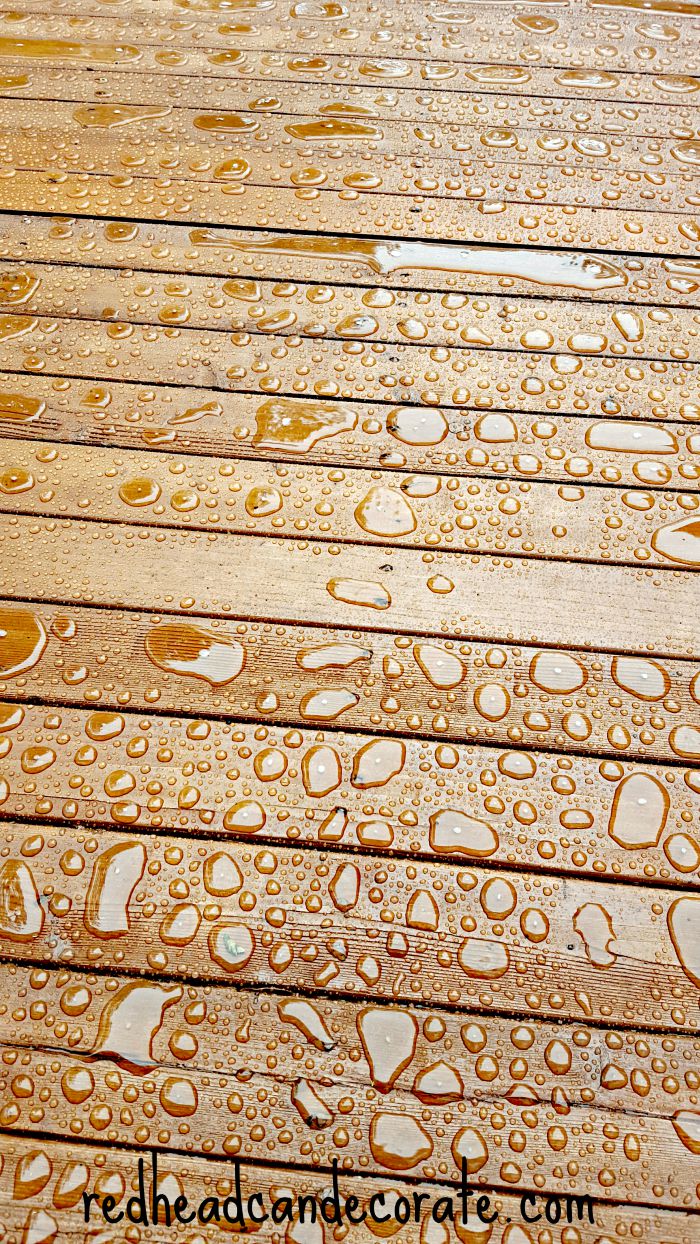 Thompson's WaterSeal Deck Stain