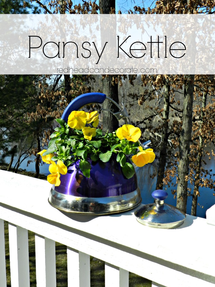 Pansy Kettle