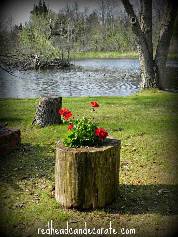 Cool gardening ideas that anyone can do! Including this stump planter & many more!