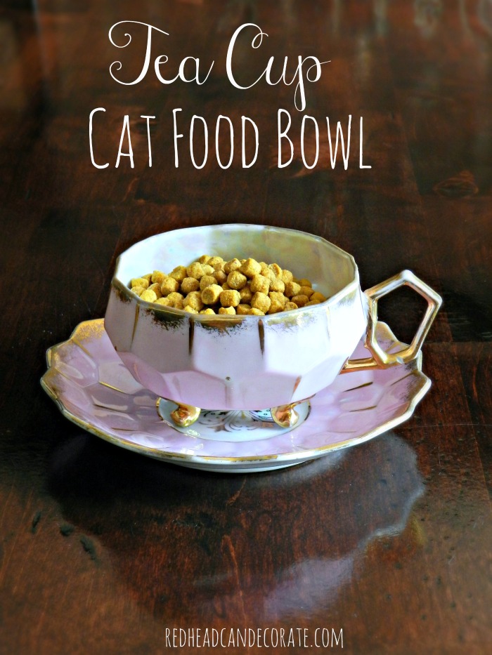 Such a cute idea to repurpose a tea cup for a cat food bowl! Click here to see "Tea Cup Cat Food Bowl"