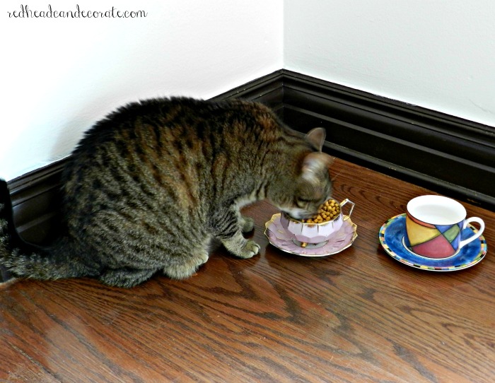 Such a cute idea to repurpose a tea cup for a cat food bowl! Click here to see "Tea Cup Cat Food Bowl"