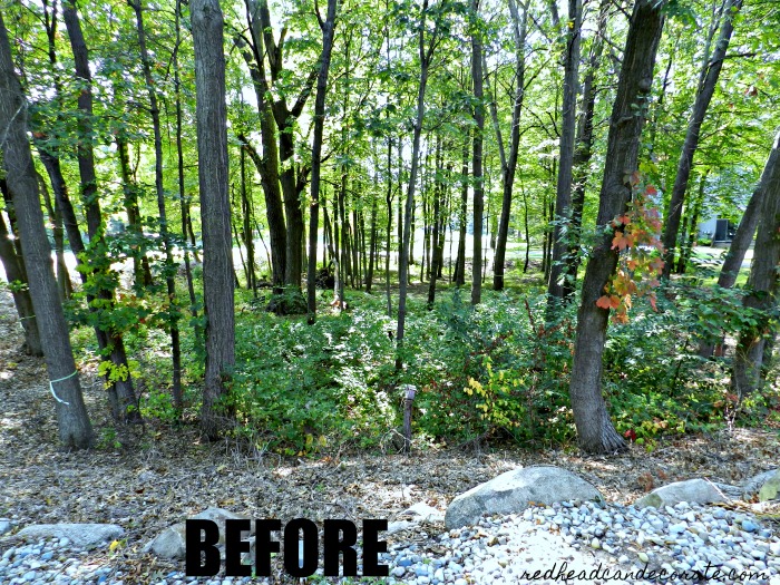 Learn how this Michigan Tree Thinning Home Makeover will actually help the other trees thrive and become strong beautiful healthy trees without crowding the home. 
