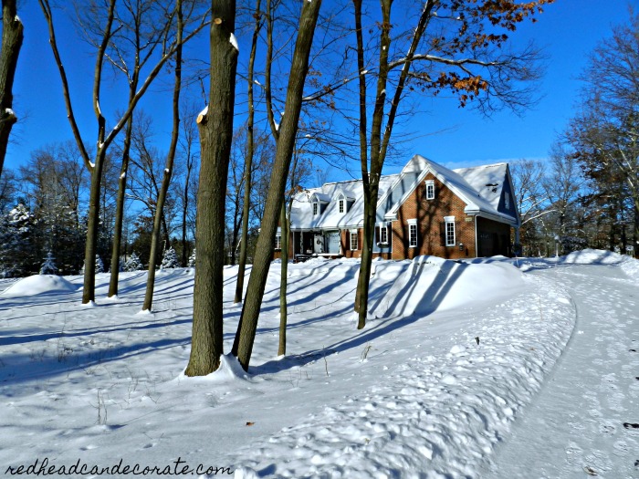 Learn how this Michigan Tree Thinning Home Makeover will actually help the other trees thrive and become strong beautiful healthy trees without crowding the home. 