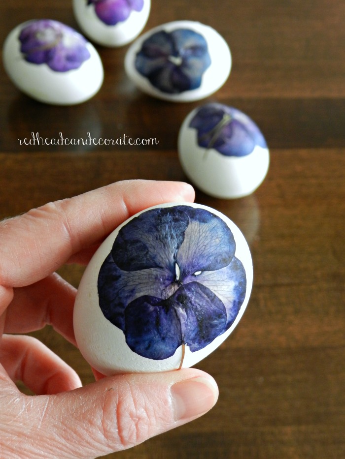 Impatien Petal Easter Eggs is a beautiful alternative to traditional Easter egg dying. These gorgeous eggs are perfect for Spring home decorating!