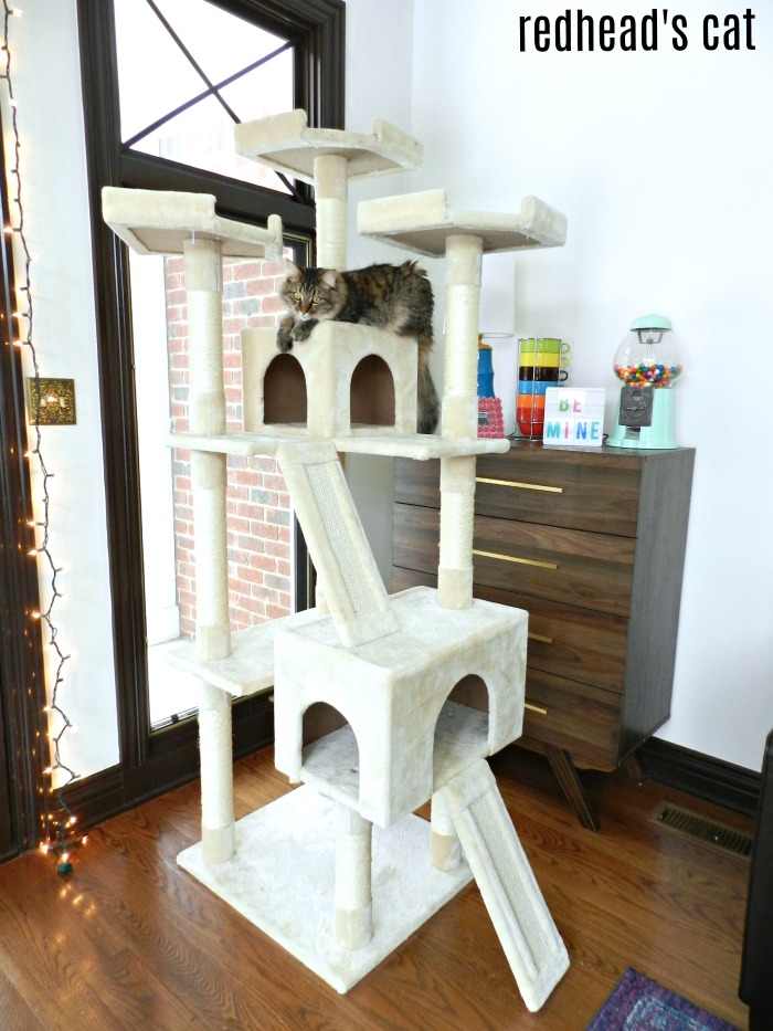 Keep your cat off your furniture with this surprisingly affordable cat tree!