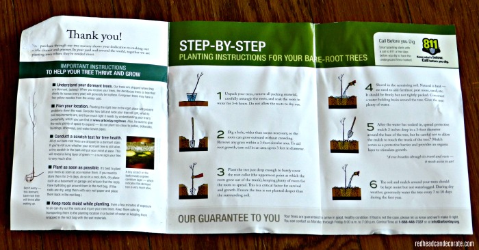 Planting cherry trees with the Arbor Day Foundation is less expensive and they provide important knowledge on tree planting.