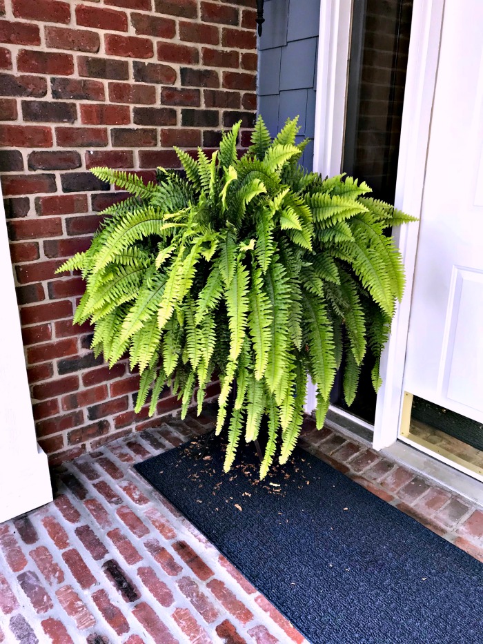 These white Porch Planters with Faux Ferns look so realistic no one will ever know the ferns are fake!
