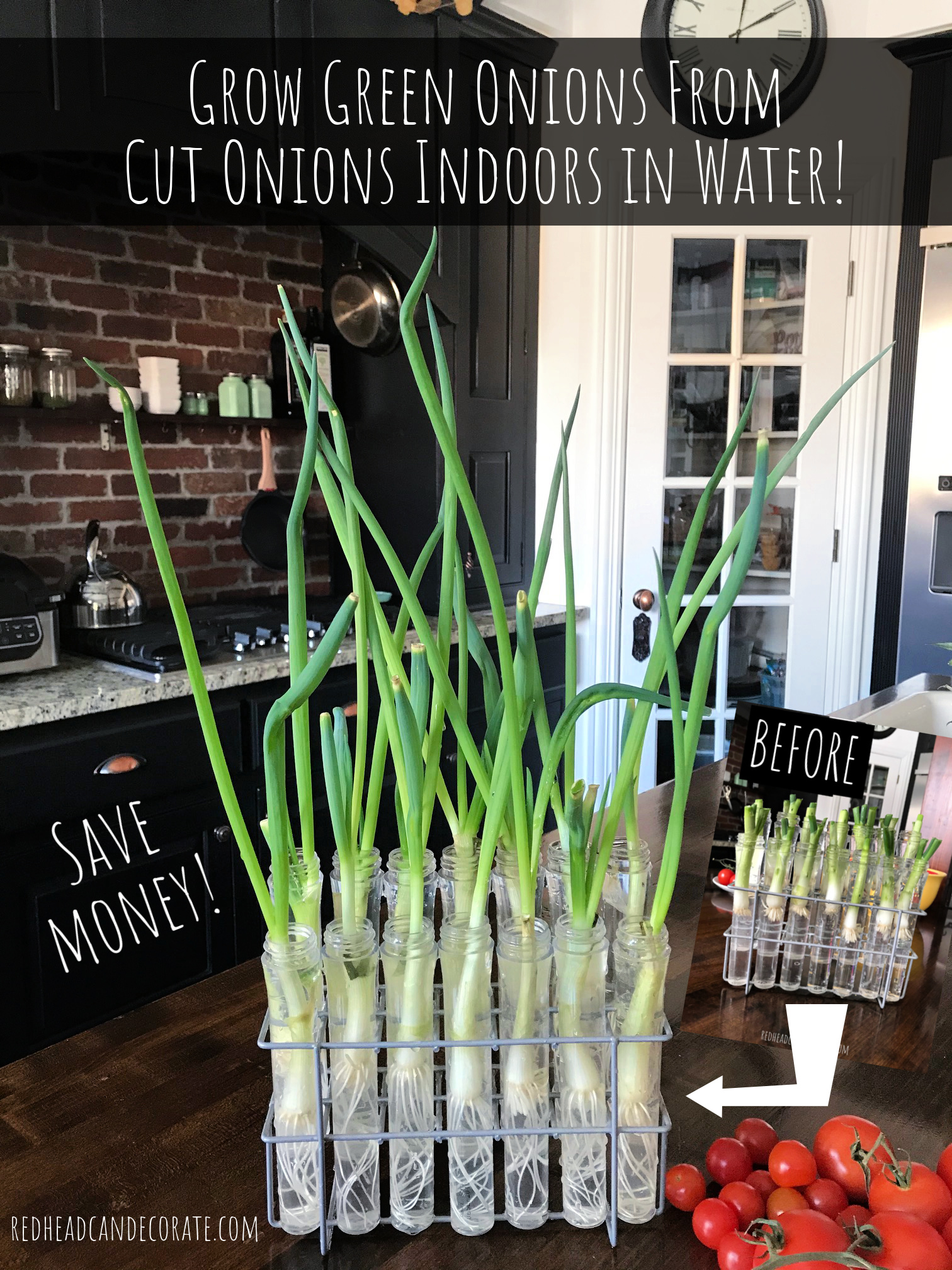 How Long Can You Grow Green Onions in Water  