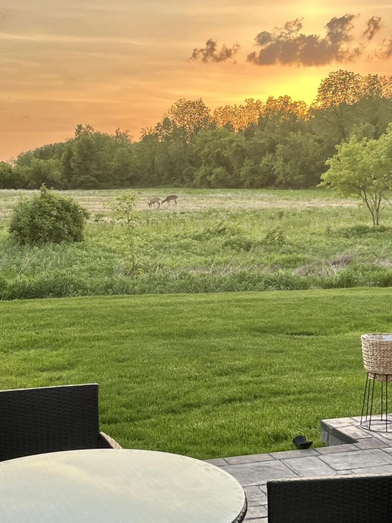 Redhead Can Decorate's 2024 Kitchen Makeover Reveal