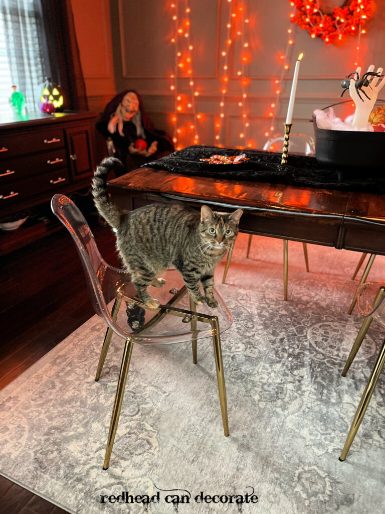 Halloween Pumpkin Carving Party