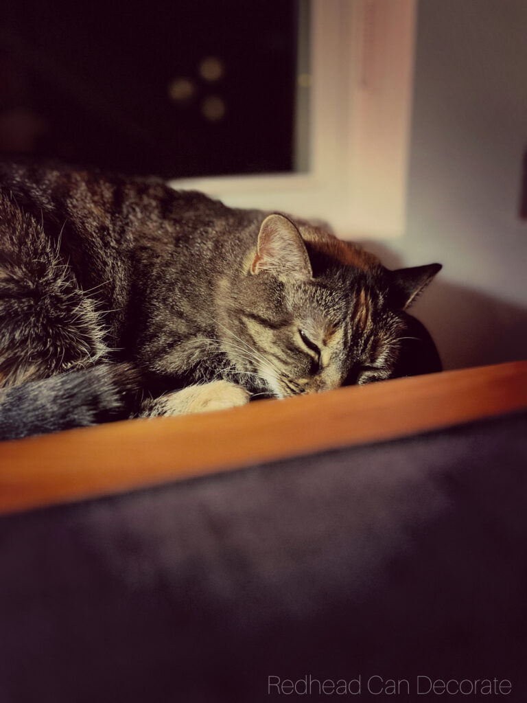 Visit our Beautiful Michigan Fall Family Room Tour