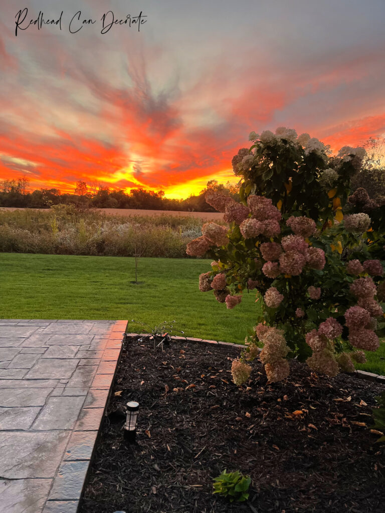 Our Beautiful Thrifted Thanksgiving Tablescape