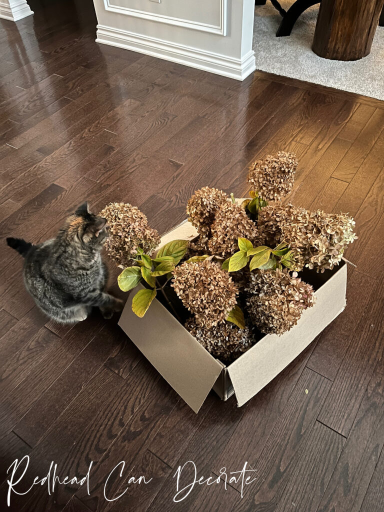 Our Beautiful Thrifted Thanksgiving Tablescape