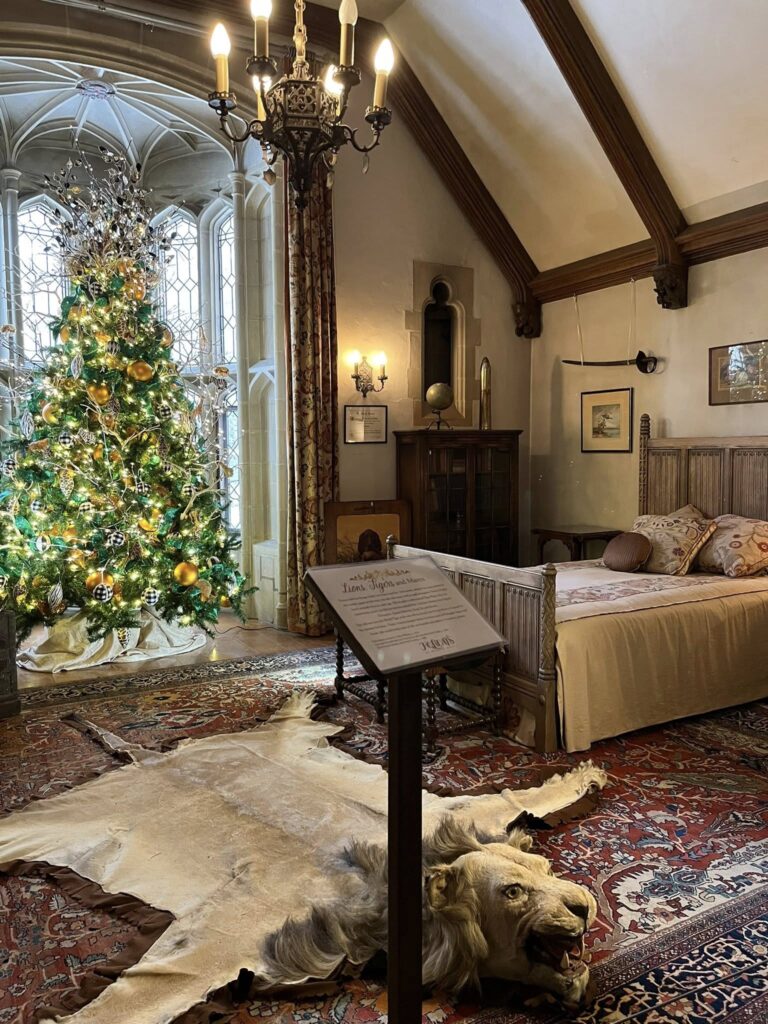 Christmas Mansion Tour Mystery: The Missing Diamond Earring