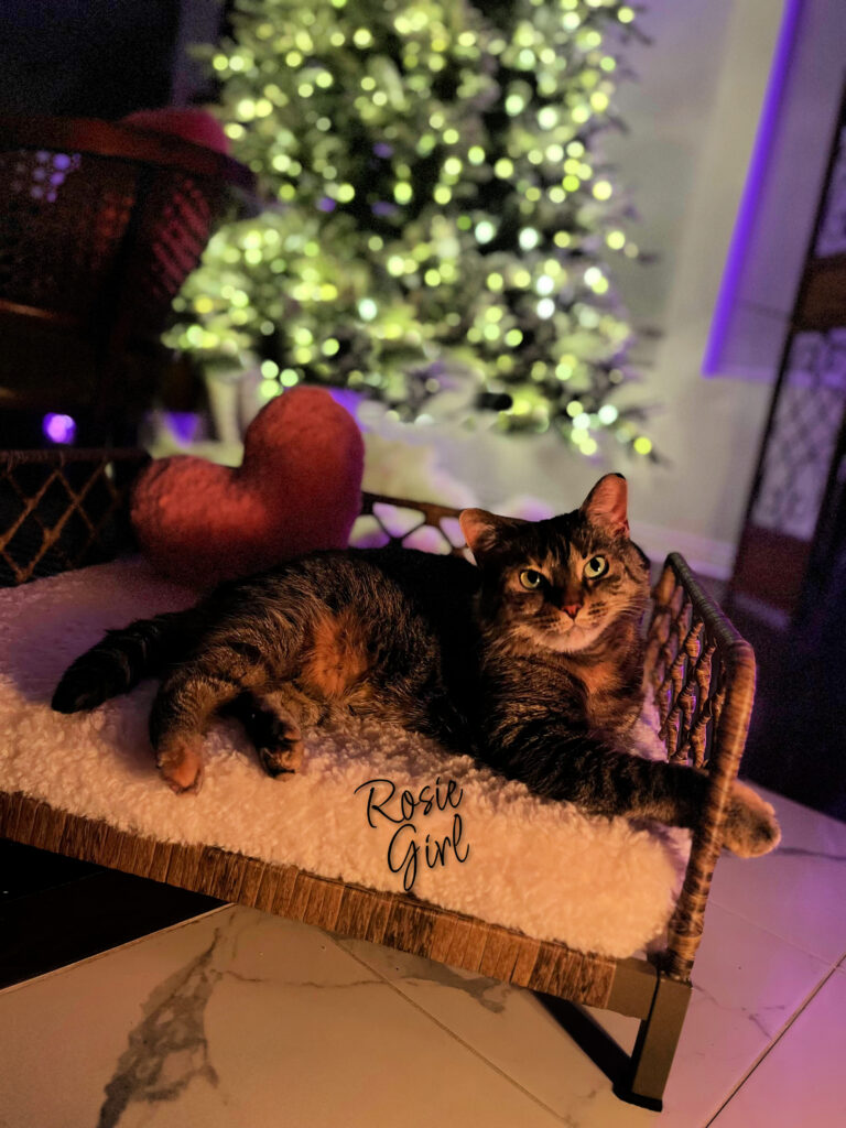 Our Warm & Cozy Valentine Home Tour